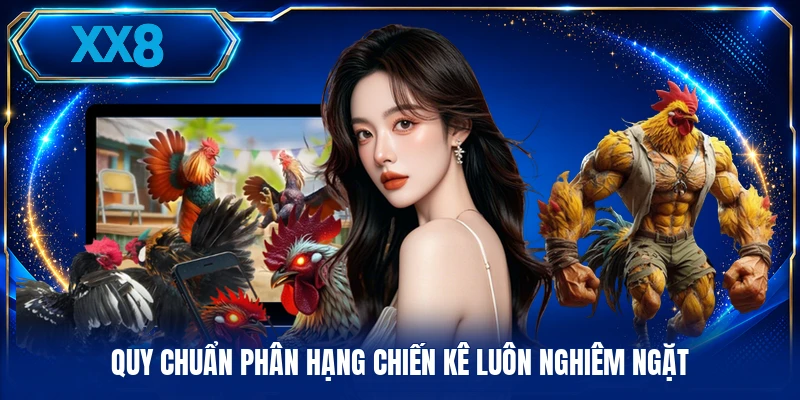 Luật Lệ Chọi Gà - Các Chuẩn Mực Thi Đấu Truyền Thống Quy chuẩn phân hạng chiến kê luôn nghiêm ngặt