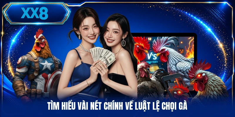 Luật Lệ Chọi Gà - Các Chuẩn Mực Thi Đấu Truyền Thống Tìm hiểu vài nét chính về luật lệ chọi gà